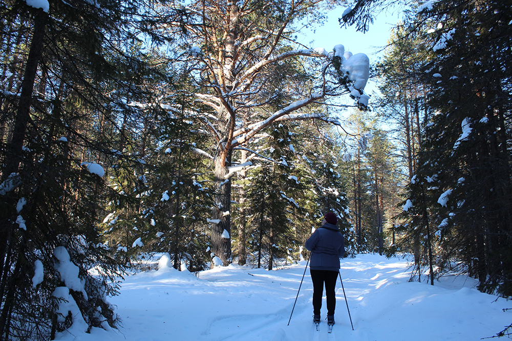 Фото Анатолий Русанов